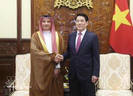 Vietnam eyes stronger relations with Cambodia, Saudi Arabia, Dominica: State President